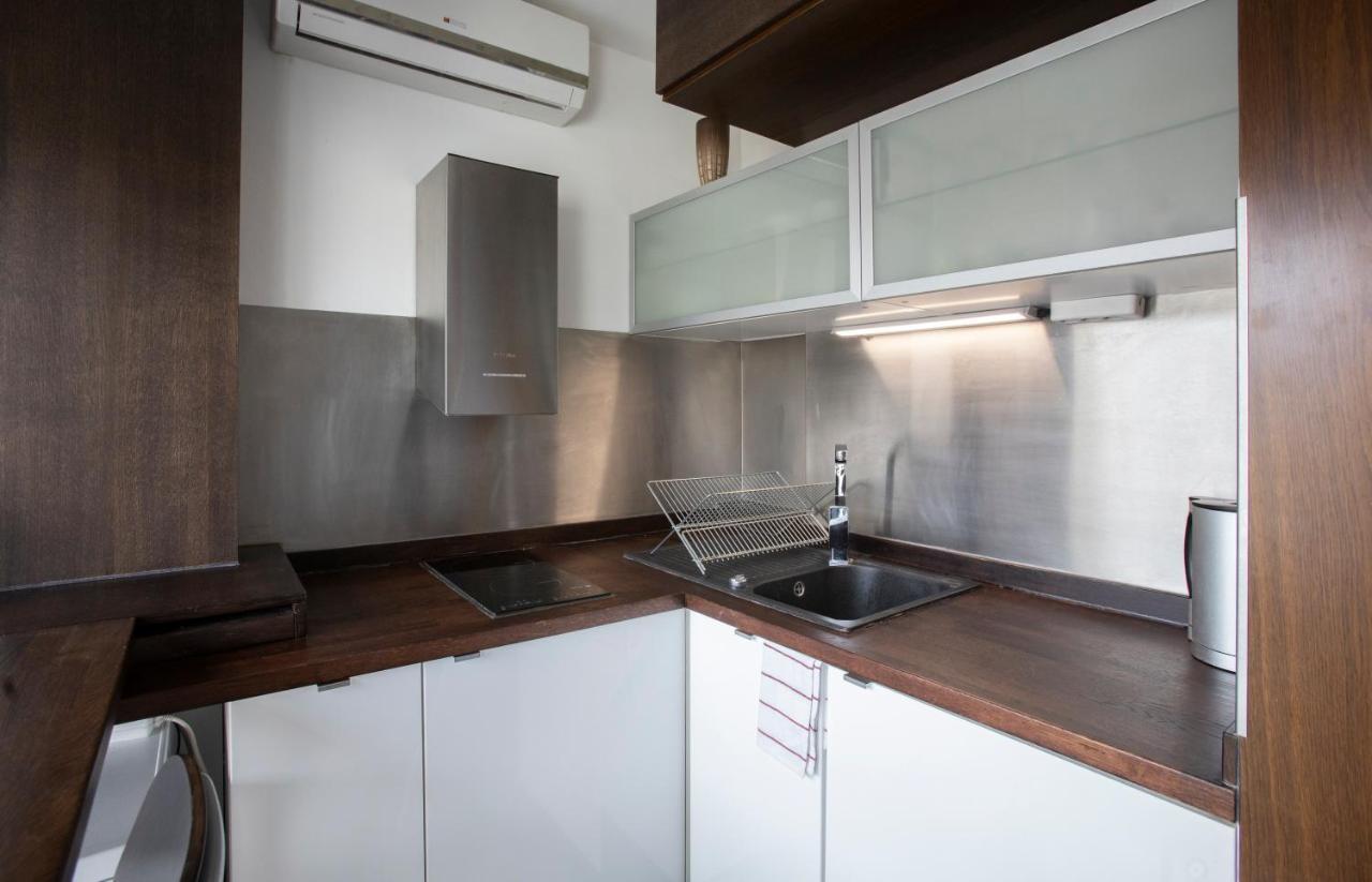 Parliamentpenthouse With Rooftop Terrace דירה *